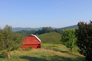 mountain city barn